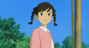 La colina de las amapolas